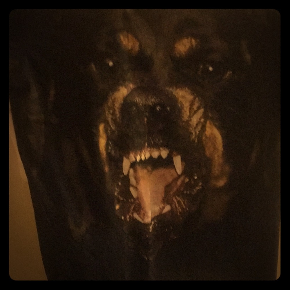 Givenchy t shirt